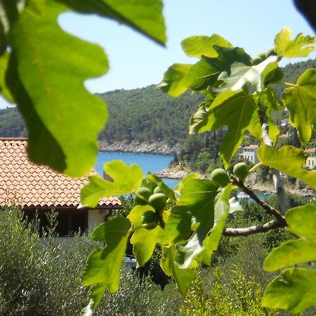 Apartments Ida Sveta Marina Drenje  エクステリア 写真